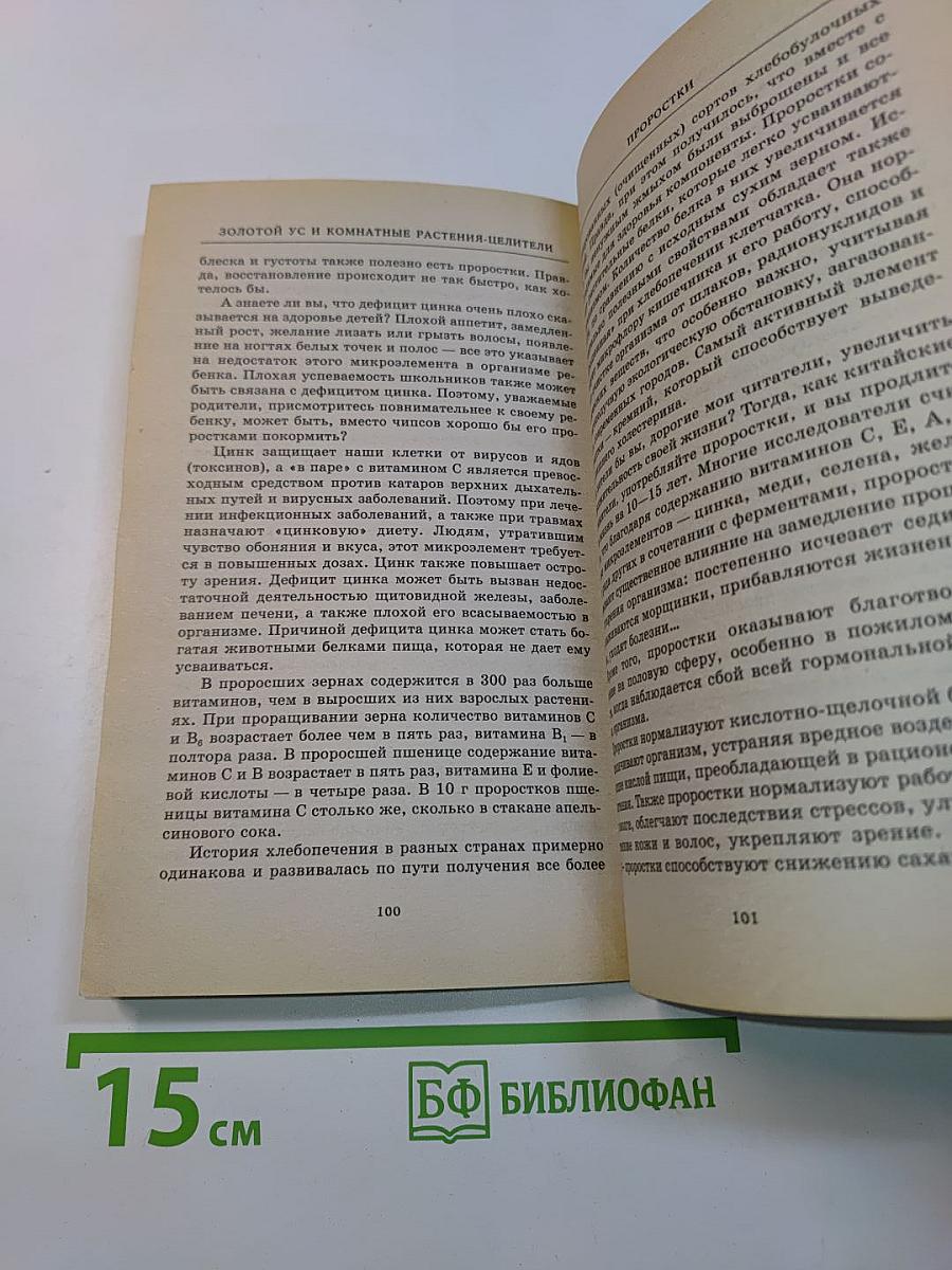 Золотой ус и комнатные растения-целители