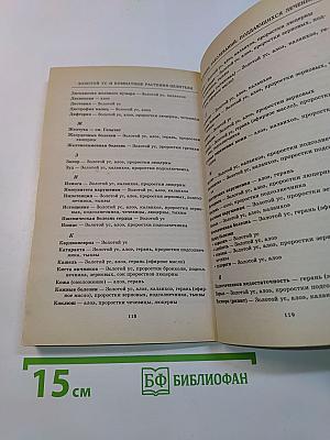 Золотой ус и комнатные растения-целители