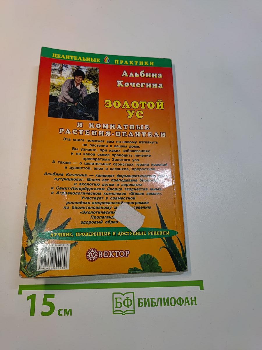Золотой ус и комнатные растения-целители