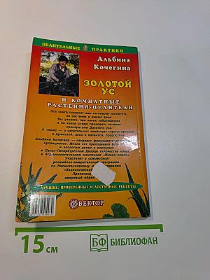 Золотой ус и комнатные растения-целители