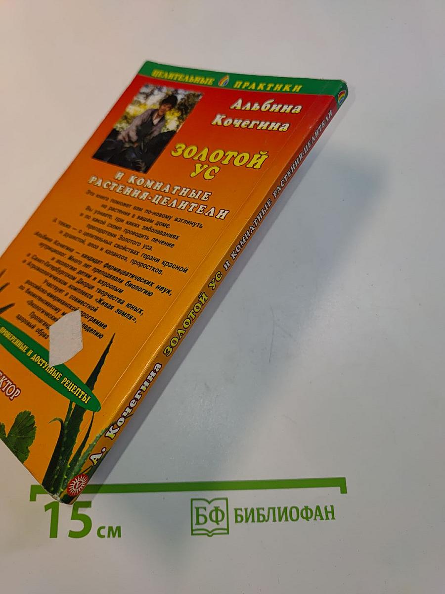 Золотой ус и комнатные растения-целители