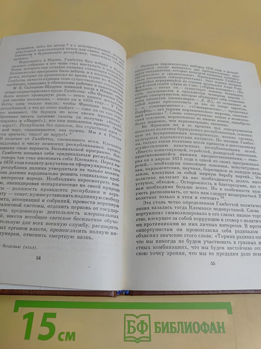 Жорж Клемансо. Политическая биография