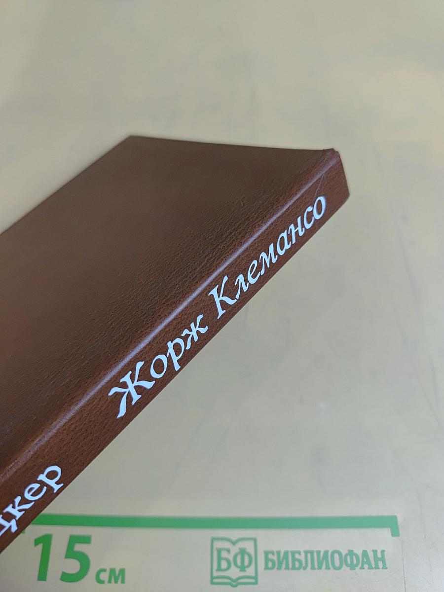 Жорж Клемансо. Политическая биография