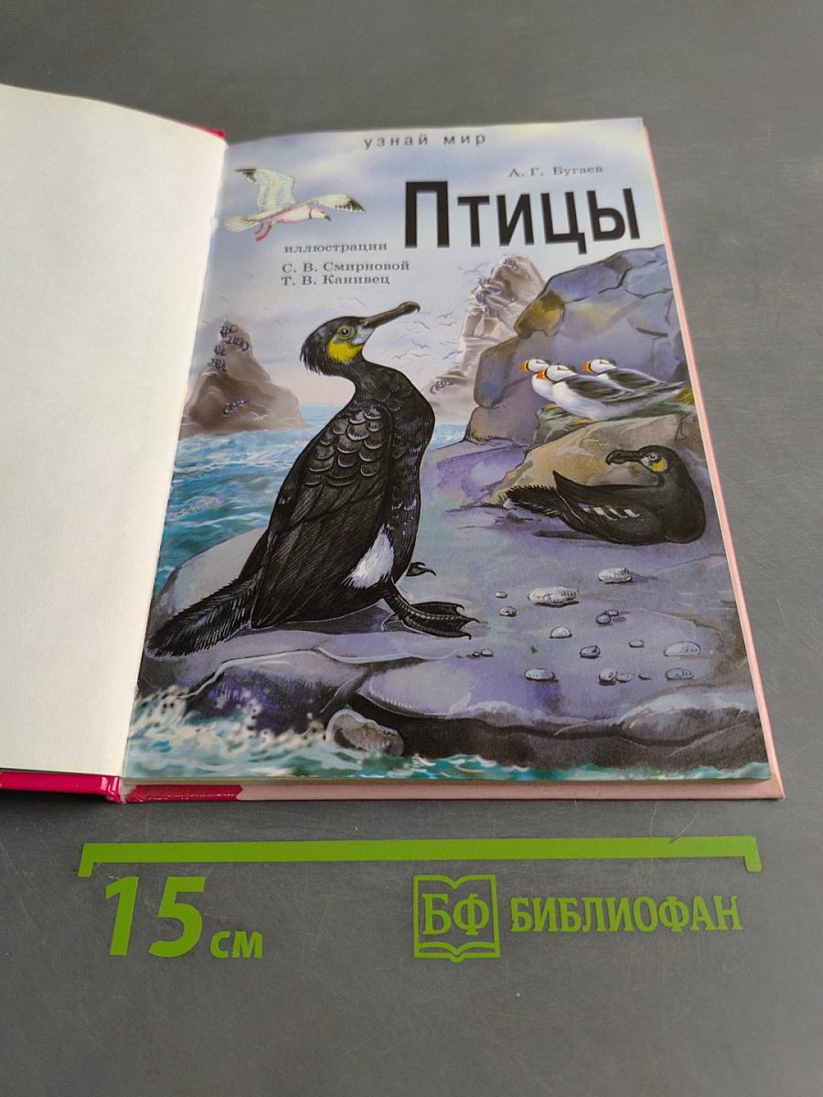 Птицы. Школьный путеводитель