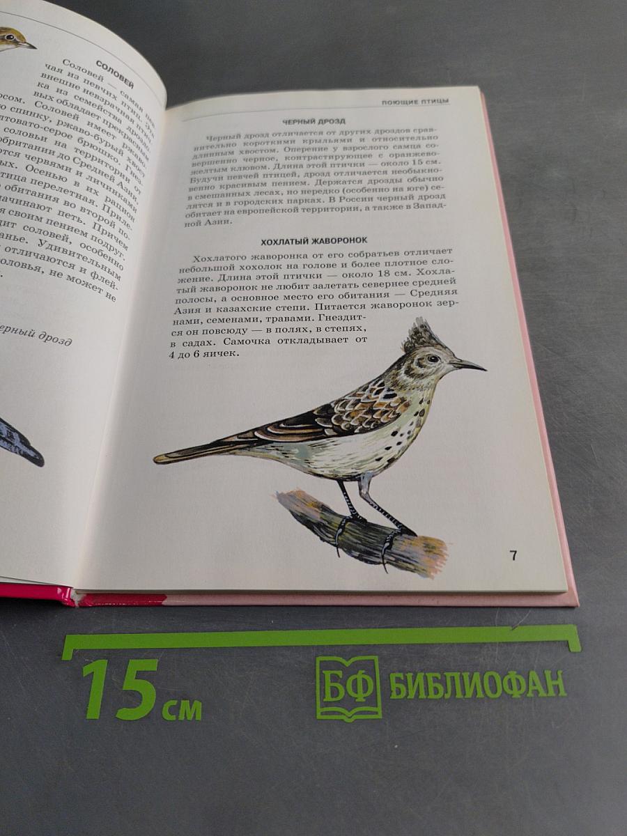 Птицы. Школьный путеводитель