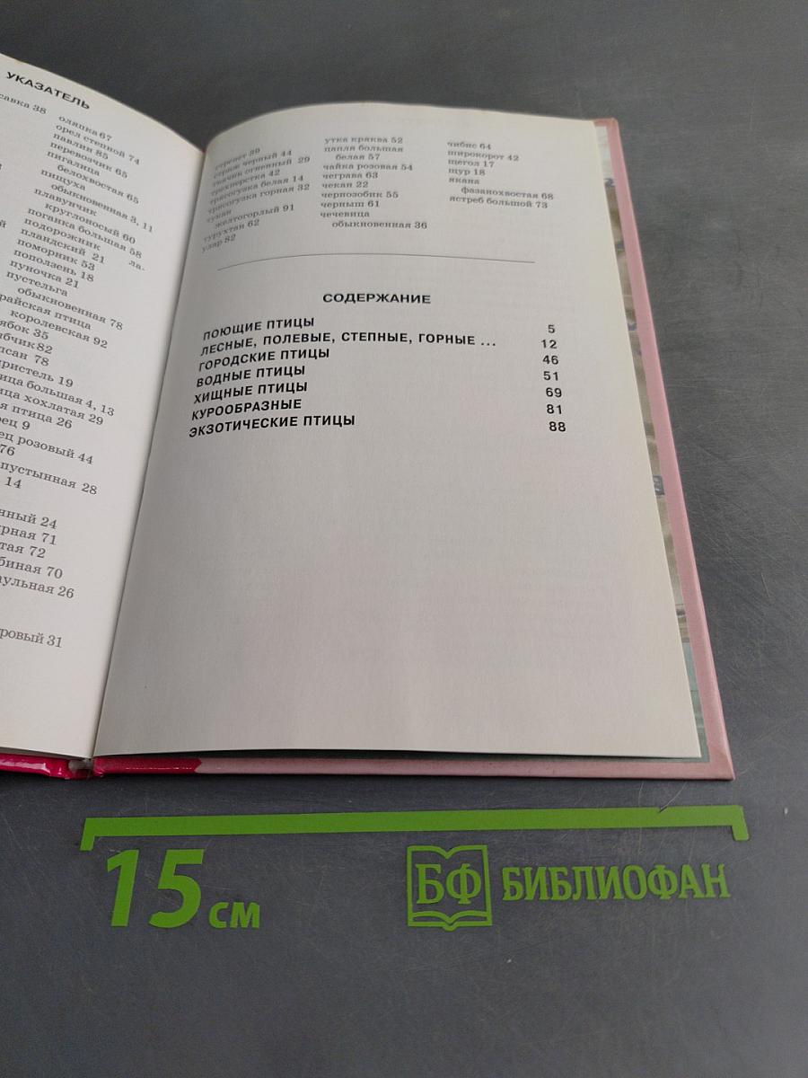Птицы. Школьный путеводитель
