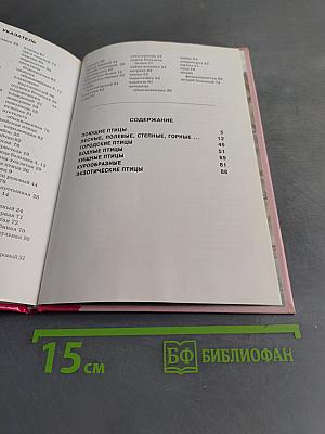 Птицы. Школьный путеводитель