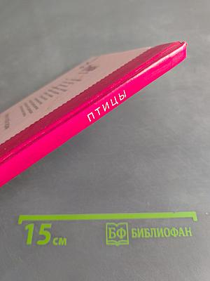Птицы. Школьный путеводитель