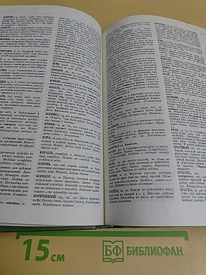 Краткий толковый словарь русского языка для иностранцев