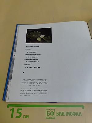 Заповедник Кивач