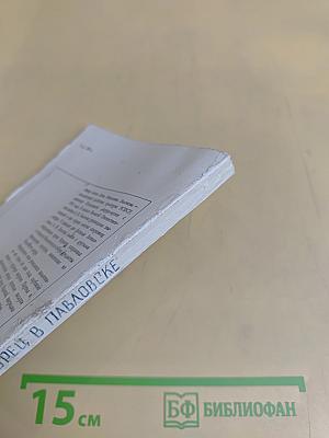 Дворцы в Павловске