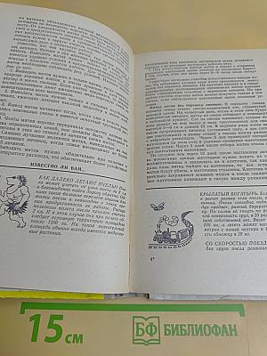 Советы пчеловоду