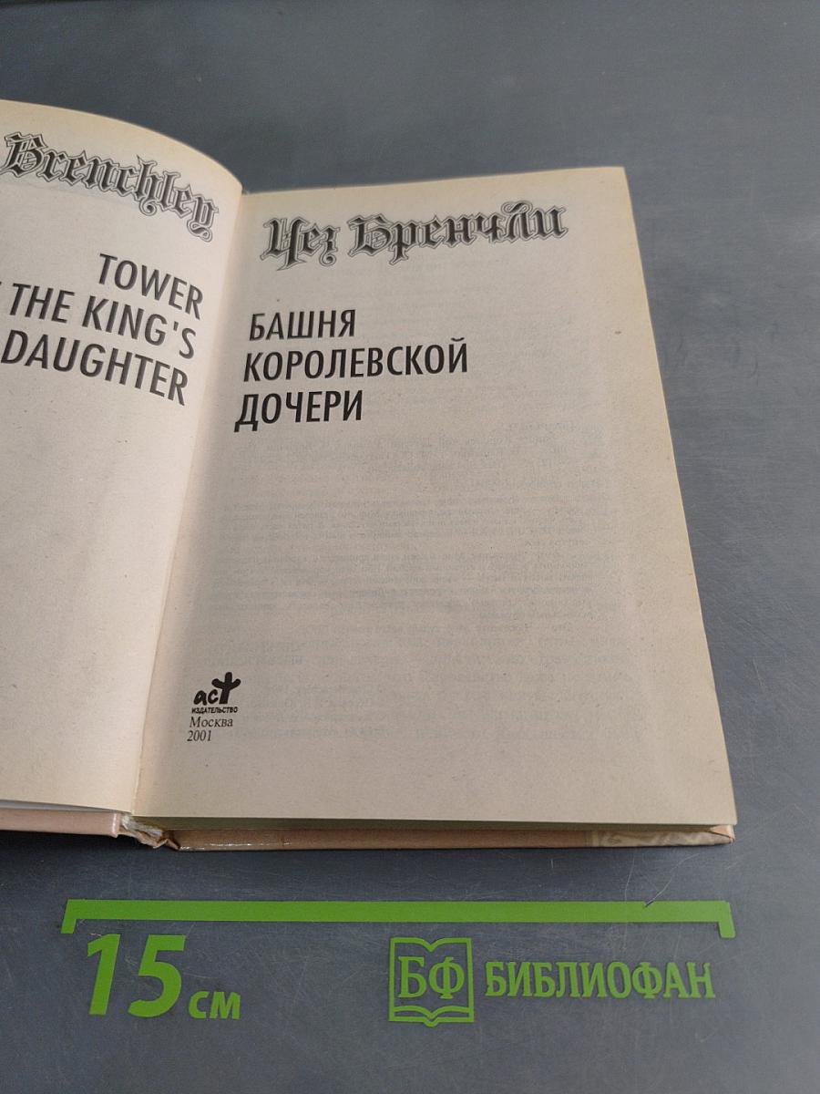 Башня королевской дочери
