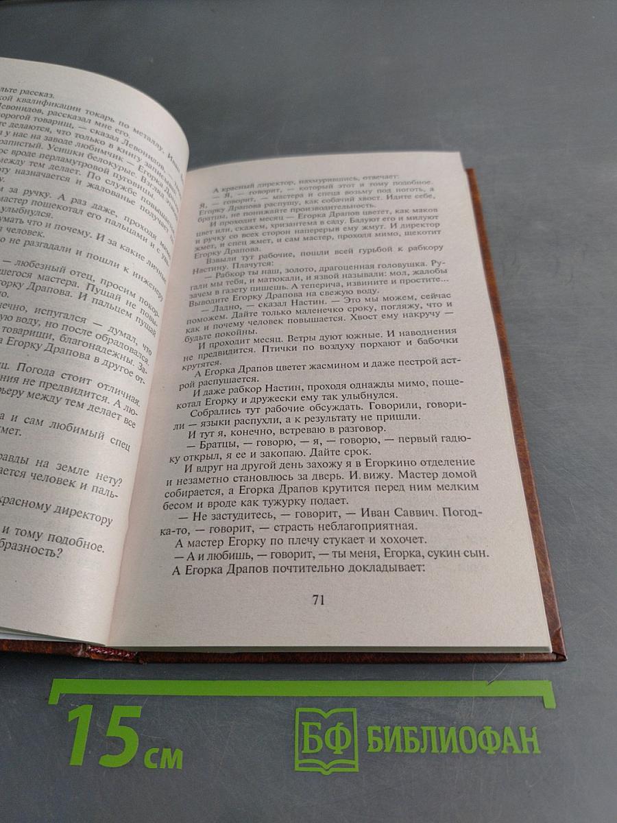 Аристократка. Рассказы