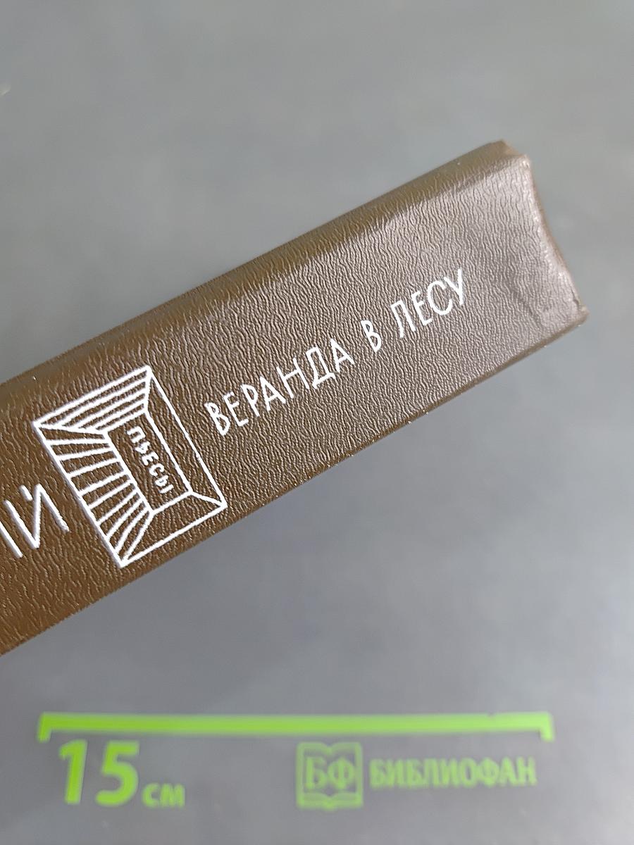 Веранда в лесу