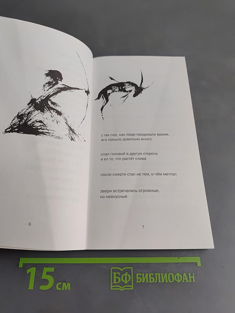 Благоприятные приметы для охоты на какомицли