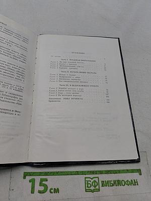 Писатель-историк В. Ян