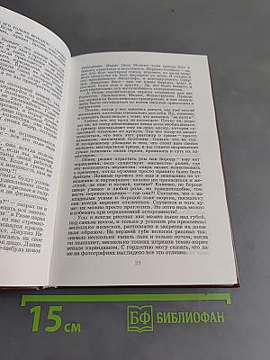 Мир итальянской оперы