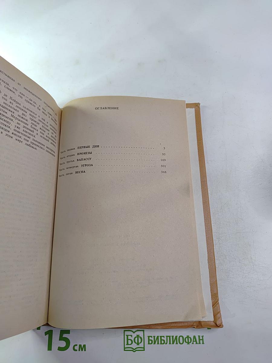 Анжелика в Новом Свете