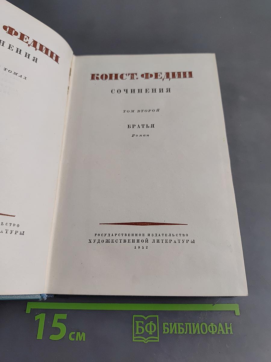 Сочинения. Том второй. Братья. Роман