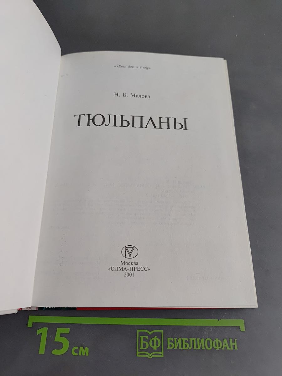 Тюльпаны