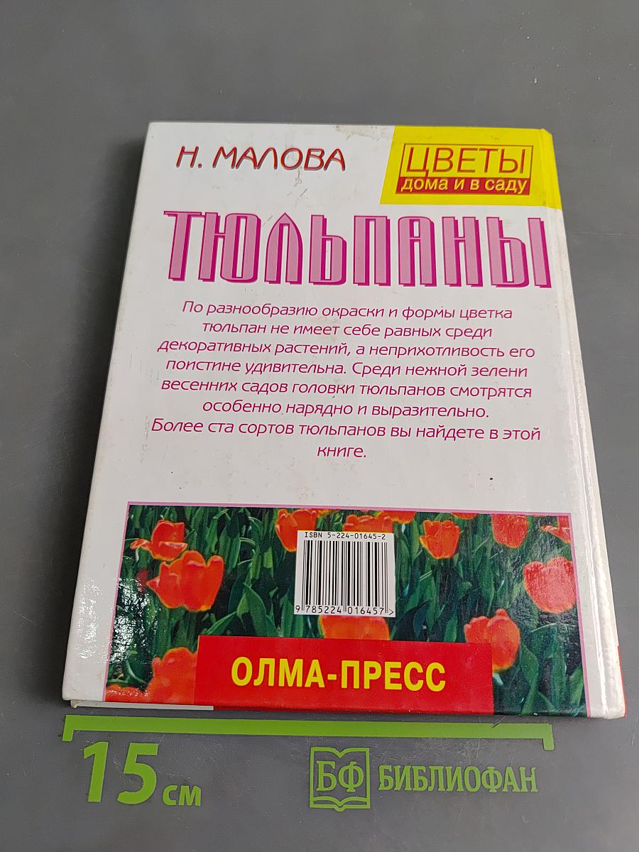 Тюльпаны