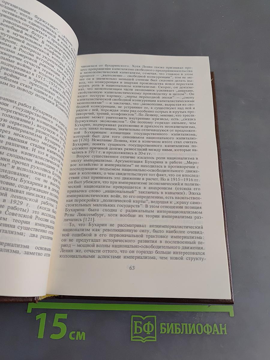 Бухарин. Политическая биография 1888-1938