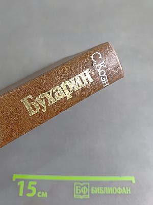 Бухарин. Политическая биография 1888-1938