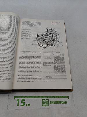 Краткая энциклопедия для женщин