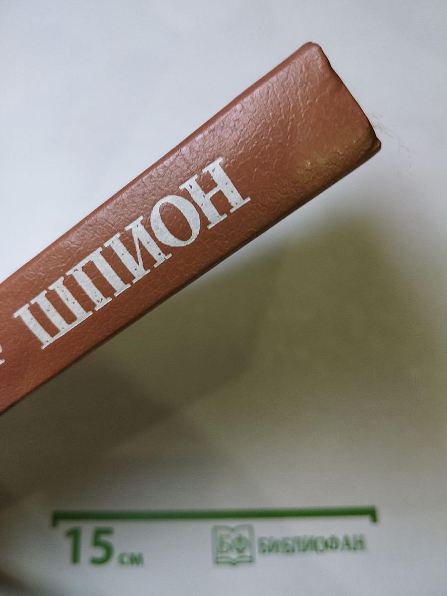 Шпион, или Повесть о нейтральной территории