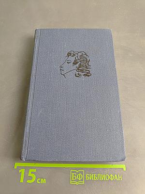 Евгений Онегин. Роман в стихах
