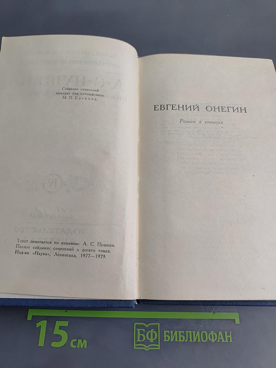 Евгений Онегин. Роман в стихах