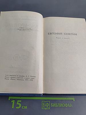 Евгений Онегин. Роман в стихах