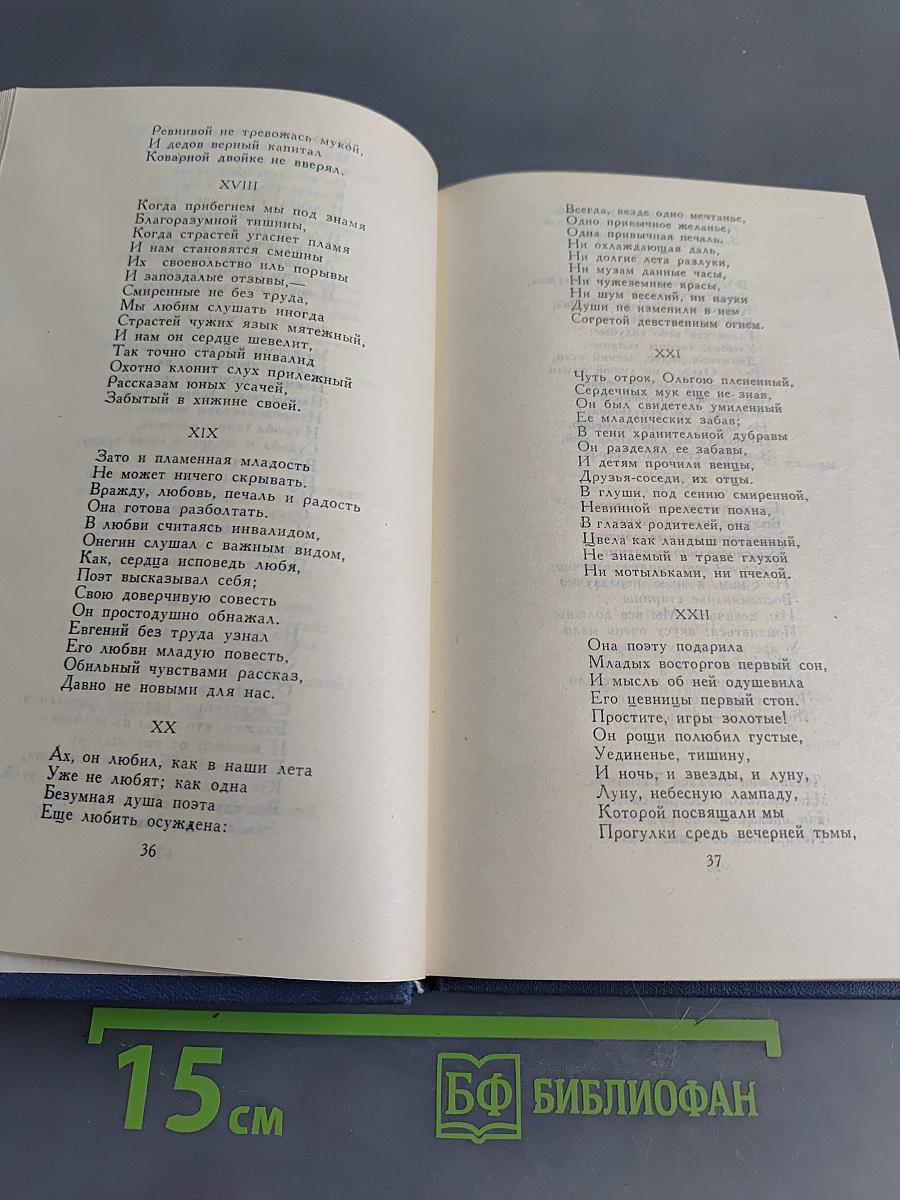 Евгений Онегин. Роман в стихах