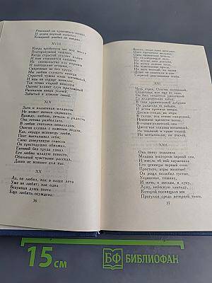 Евгений Онегин. Роман в стихах