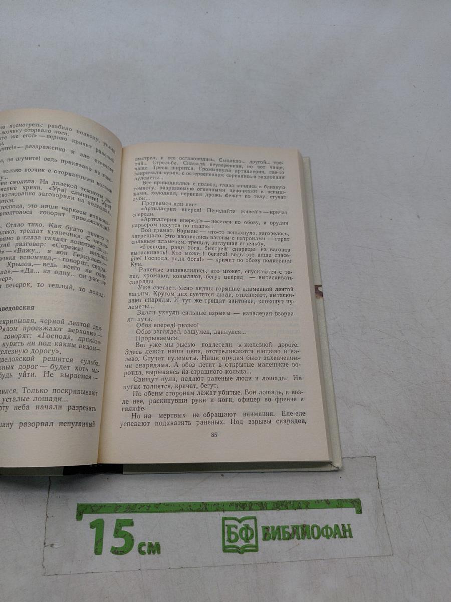 Ледяной поход. Поход и смерть генерала Корнилова. Дневник
