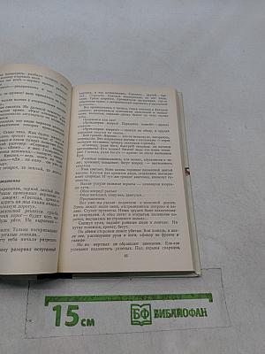 Ледяной поход. Поход и смерть генерала Корнилова. Дневник