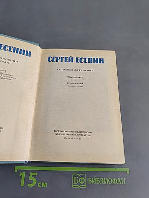Собрание сочинений. Том второй. Стихотворения (Октябрь 1917-1924)