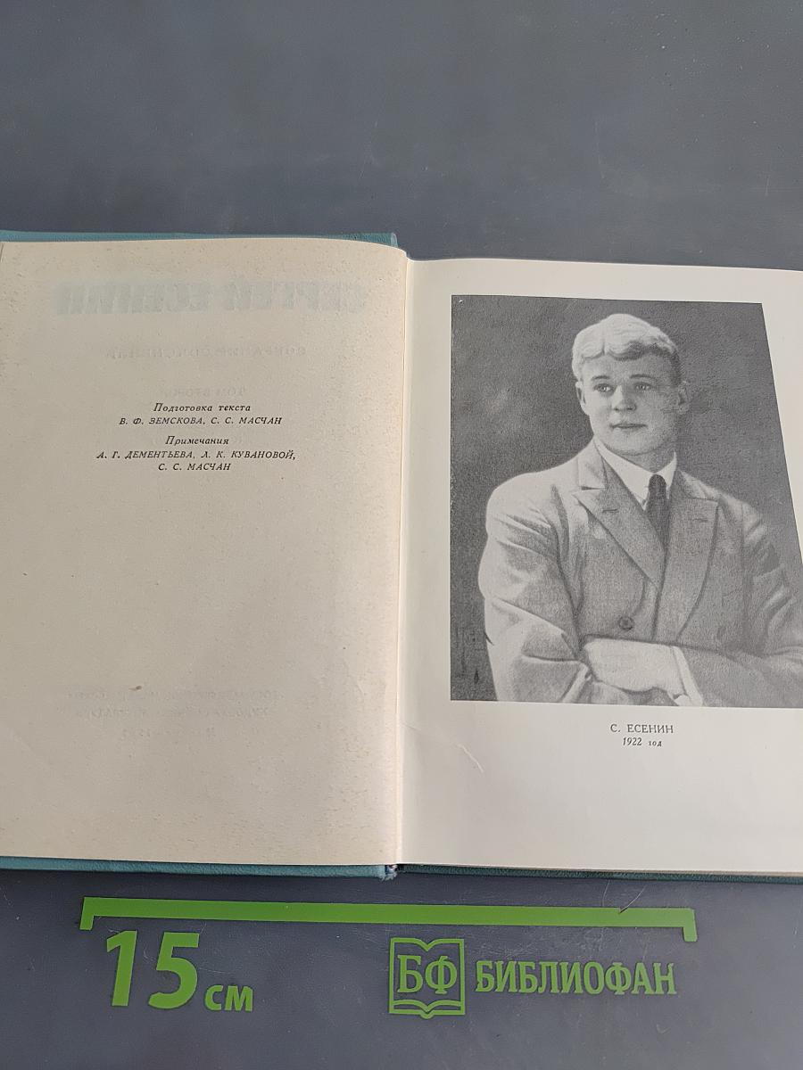 Собрание сочинений. Том второй. Стихотворения (Октябрь 1917-1924)