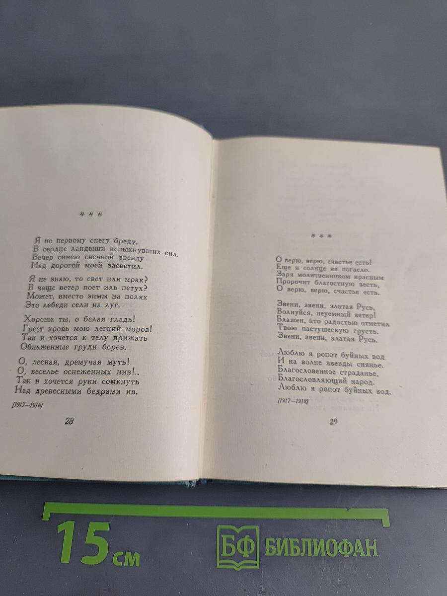 Собрание сочинений. Том второй. Стихотворения (Октябрь 1917-1924)