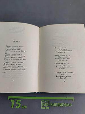 Собрание сочинений. Том второй. Стихотворения (Октябрь 1917-1924)