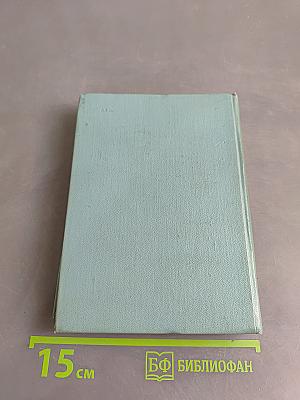 Собрание сочинений. Том второй. Стихотворения (Октябрь 1917-1924)