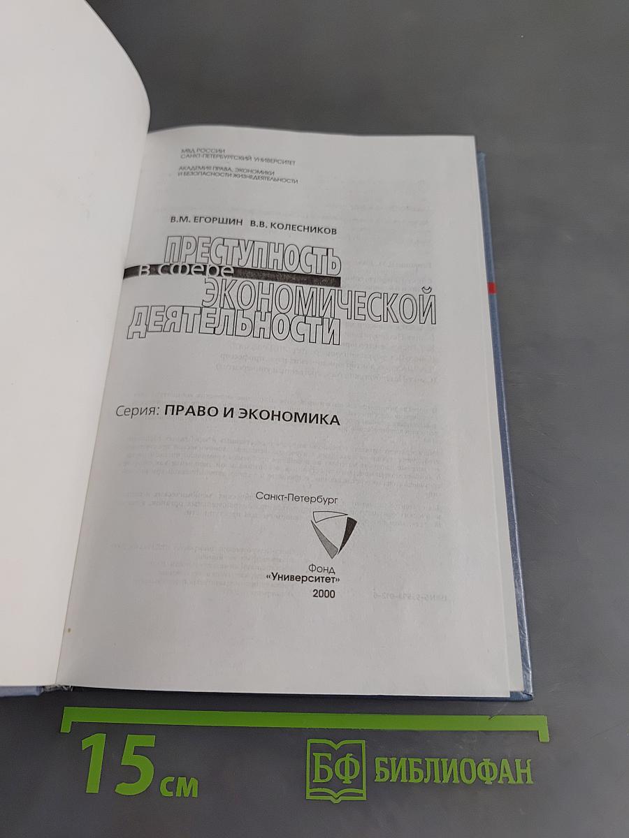 Преступность в сфере экономической деятельности