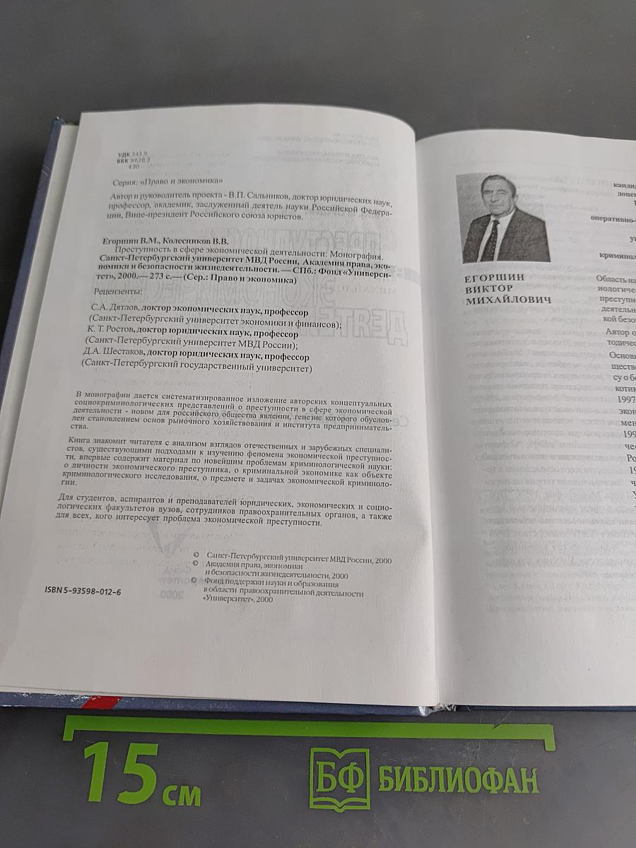 Преступность в сфере экономической деятельности