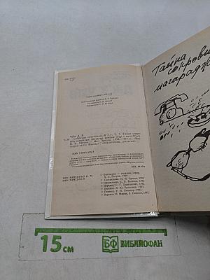 Тайна сокровищ Магараджи