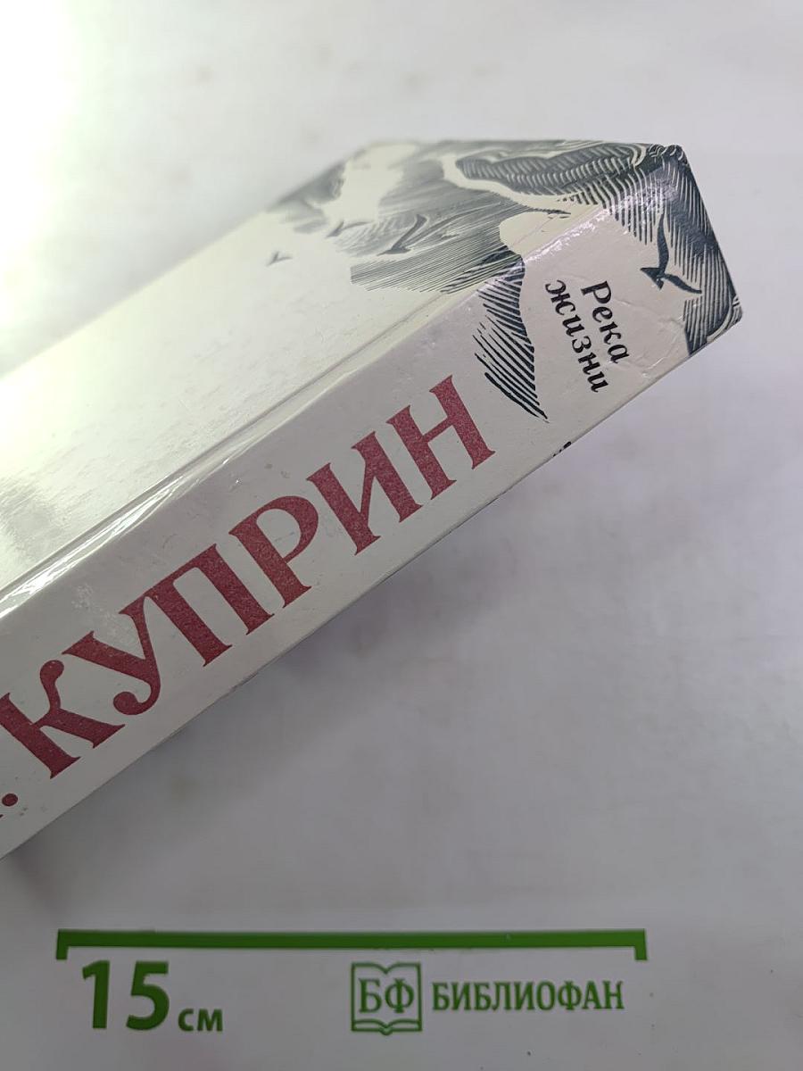 Река жизни: Повести и рассказы