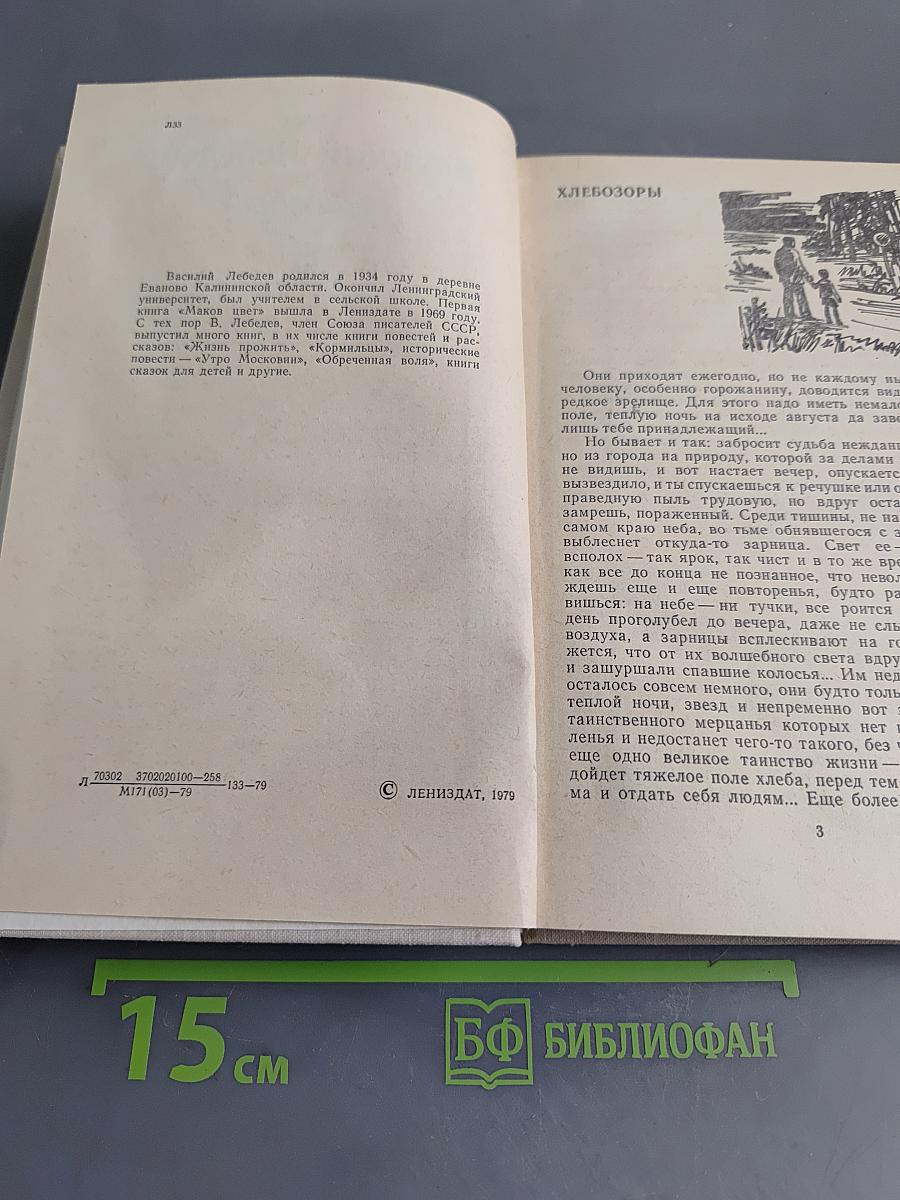 Хлебозоры
