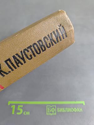 Собрание сочинений. Том второй. Повести