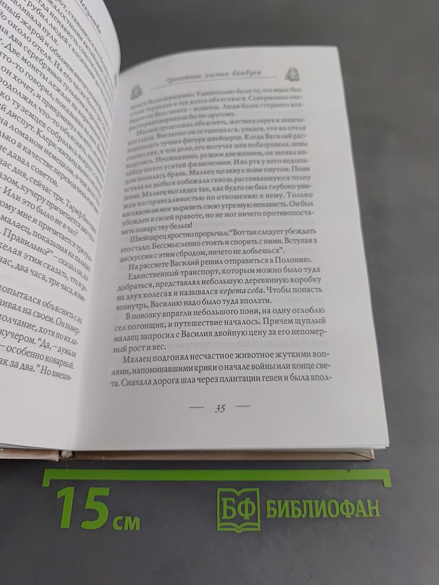 Трепетные листья бамбука