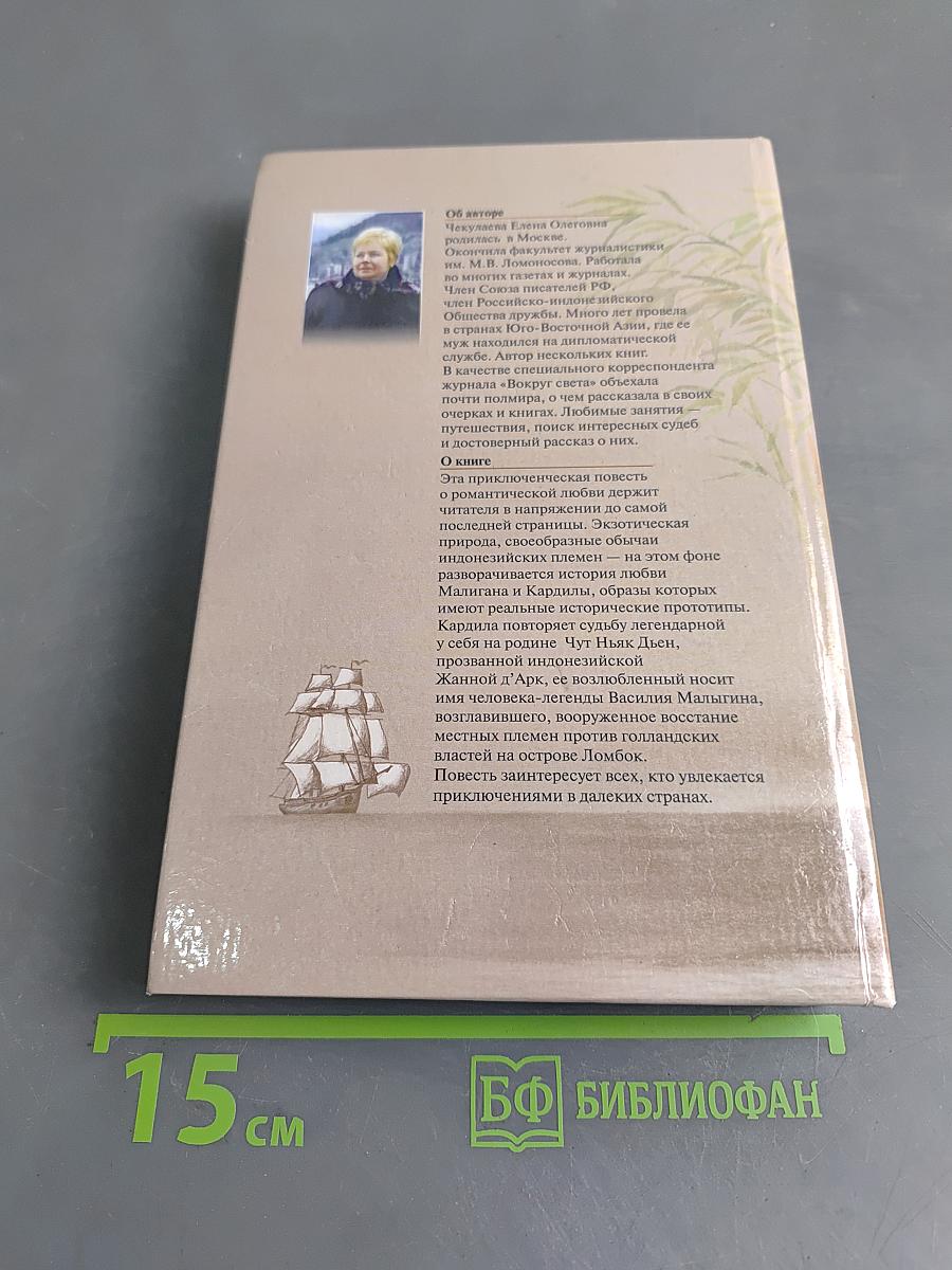 Трепетные листья бамбука